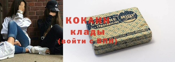 сатива Аркадак