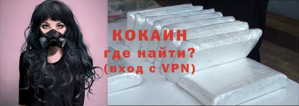 сатива Аркадак