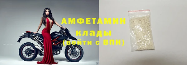 сатива Аркадак