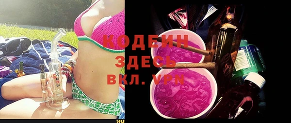 сатива Аркадак