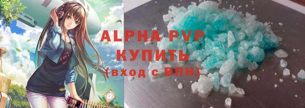 сатива Аркадак